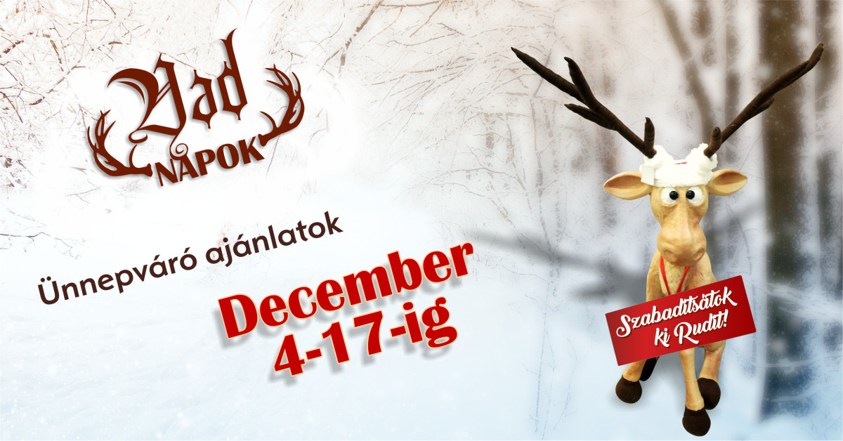 Szabadítsátok ki Rudit! – Vadnapok, ünnepváró ajánlatok